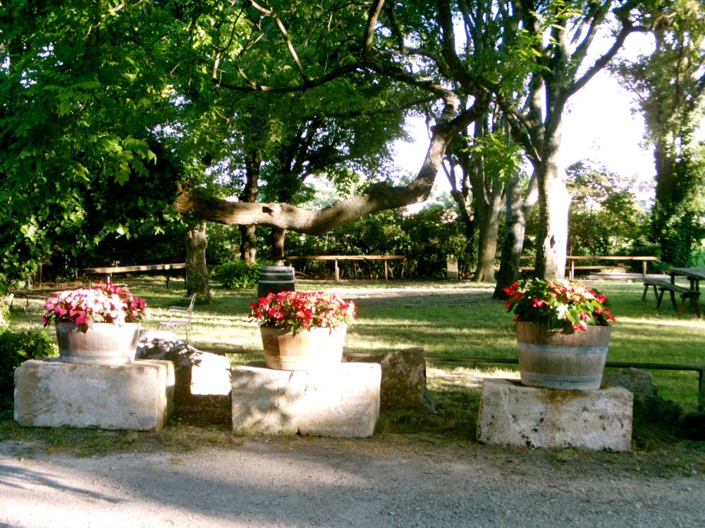 Aire camping-car  Aspres (30250) - Photo 7